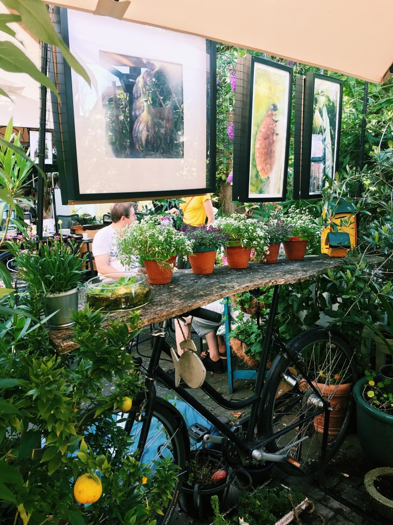 Ein Fahrrad, das als Dekoration dient wird mit vielen Pflanzen und Bildern geschmückt